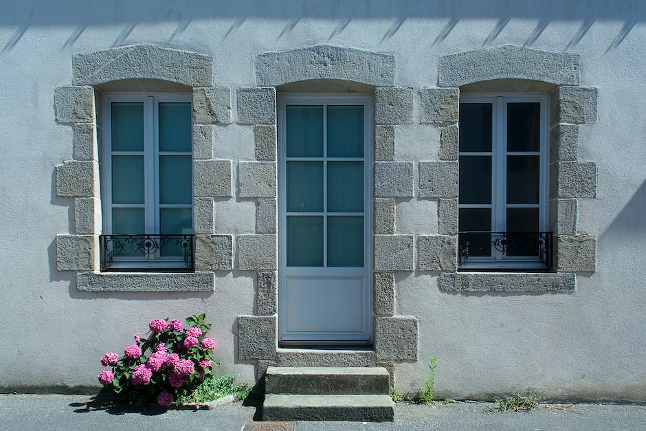 warum Blumen ihre Blüten beim Regen schließen