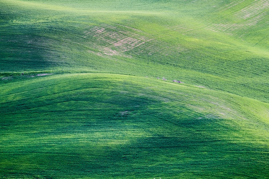  Gras im Blut Nachweisbarkeit zeitlich begrenzt