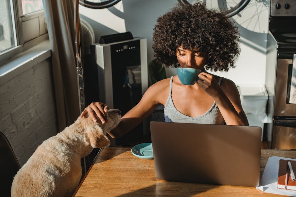  Läufigkeit beim Hund - Wie lange blutet er?