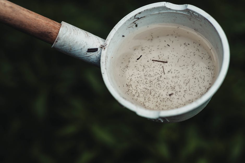 Mücken saugen Blut, um sich zu ernähren