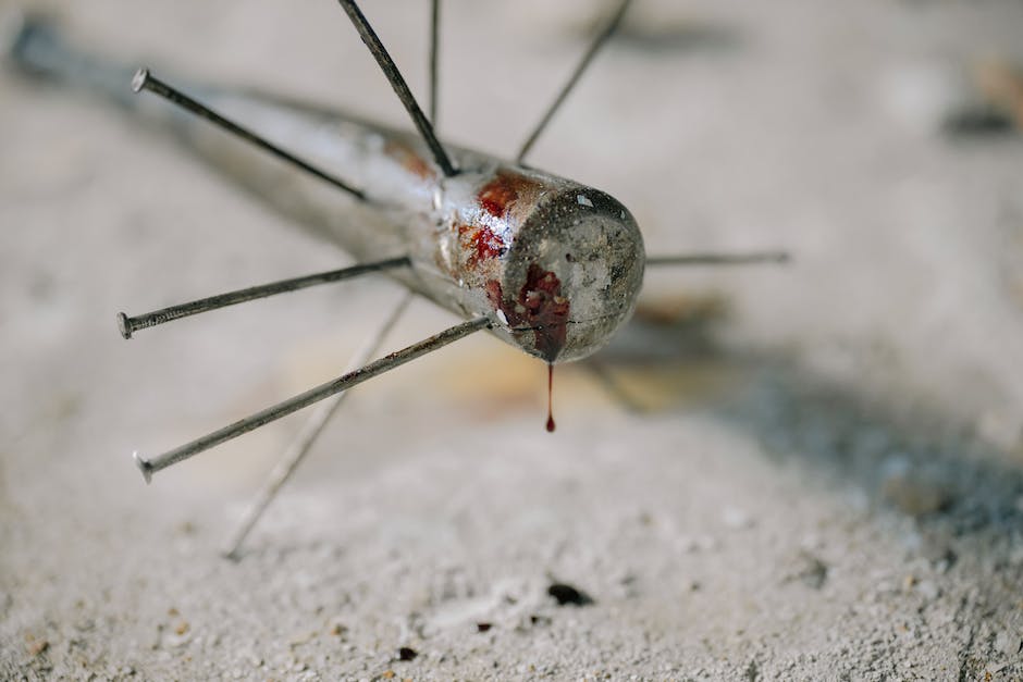  Blutspende welches Blut jeder bekommen kann