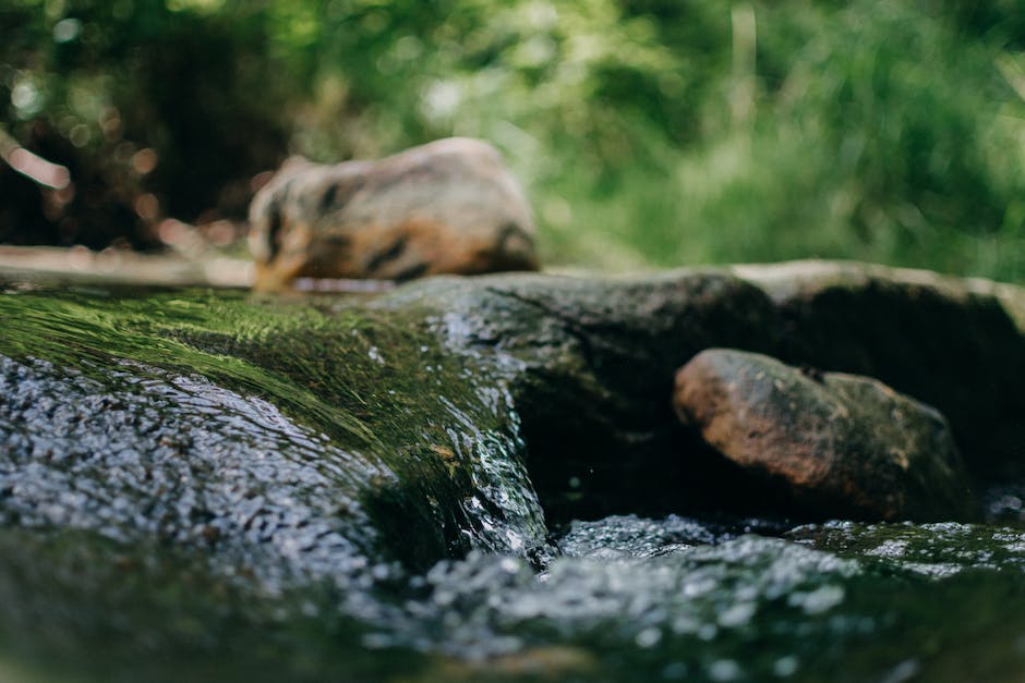  Blutfluss im Herzen