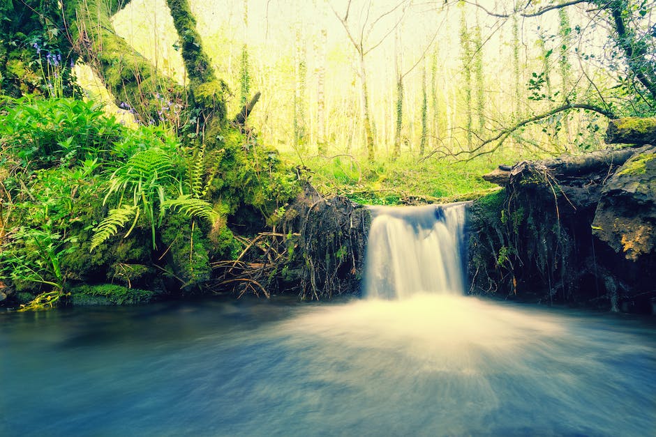  Blutfluss im menschlichen Körper