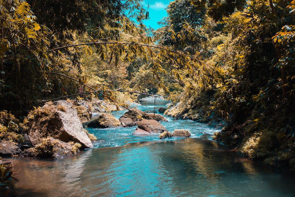 Blutfluss im Körper